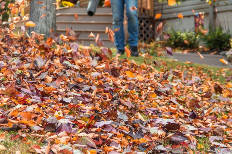 Autumn Leaf Removal in Ventura County, CA