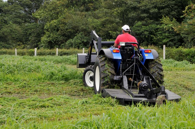 Bush Hog Mowing in Duluth, MN