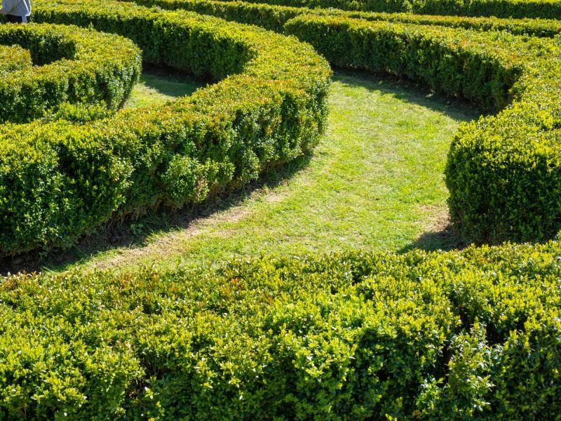 Eco-Friendly Options