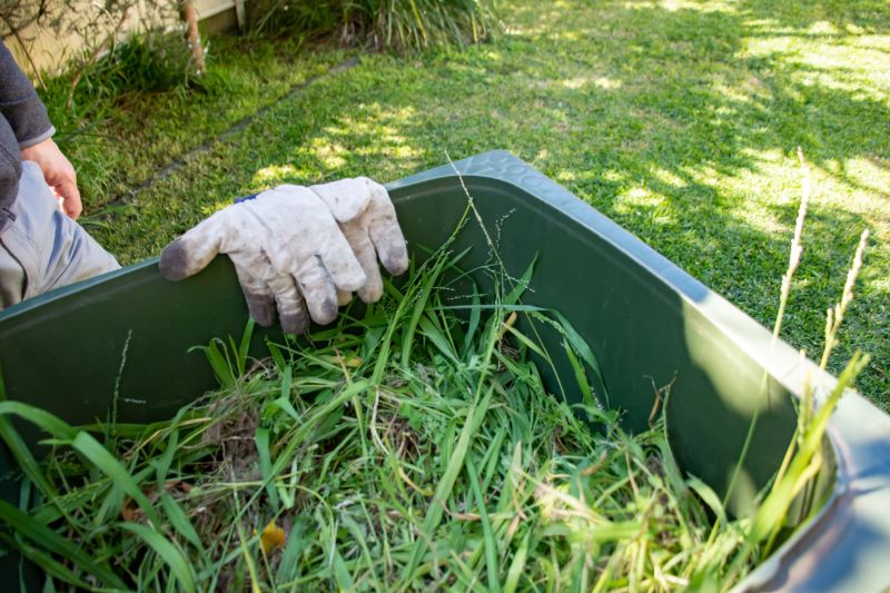 Commercial Leaf Removal in Honolulu, HI
