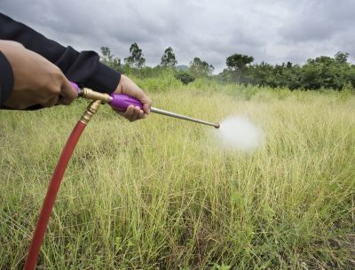 Crabgrass Prevention in Rockwall, TX
