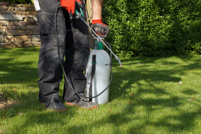 Crabgrass Prevention in Honolulu, HI