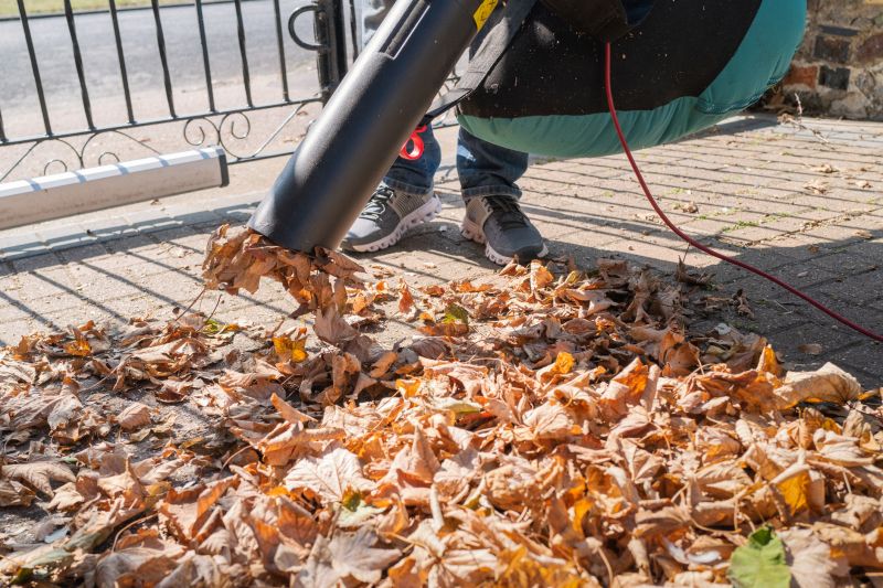 Mulched Leaves on Lawn