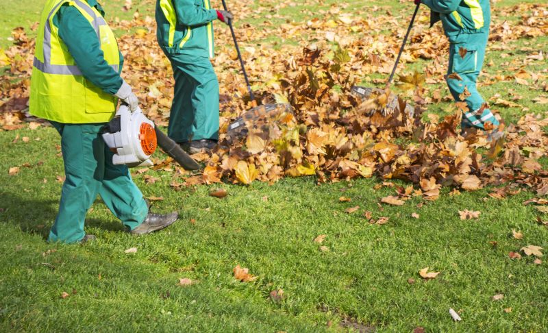 Leaf Removal Equipment in Action