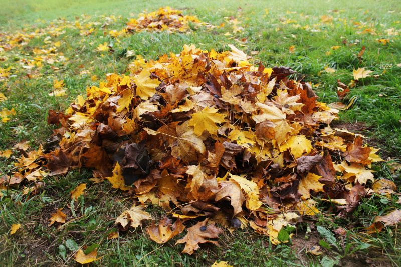 Fall Lawn Cleanup Service in Ventura County, CA