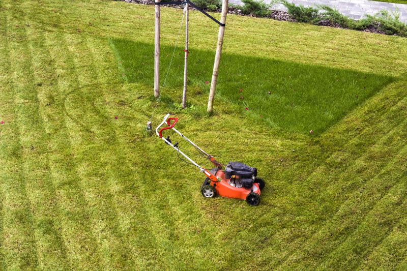 Field Mowing in Duluth, MN