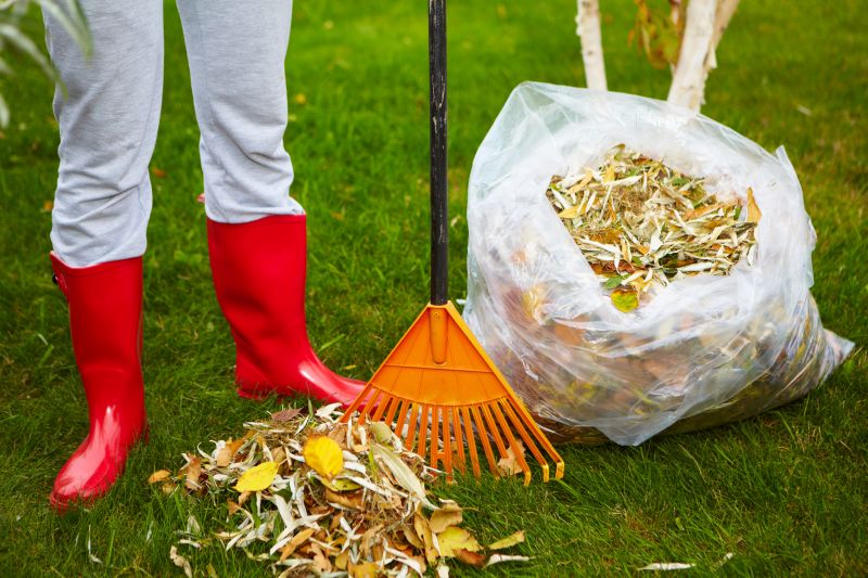 Lawn Cleanup Service in Honolulu, HI