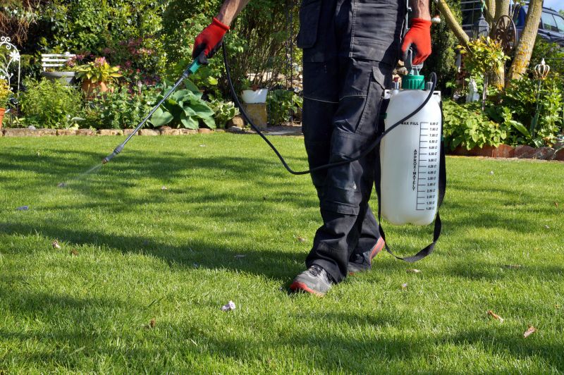 Lawn Disease Treatment in Ventura County, CA