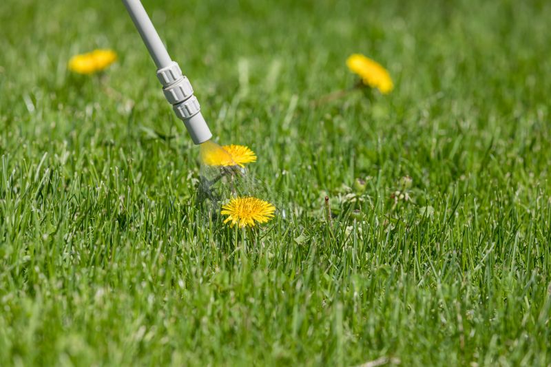 Lawn Weed Control in Aiken, SC