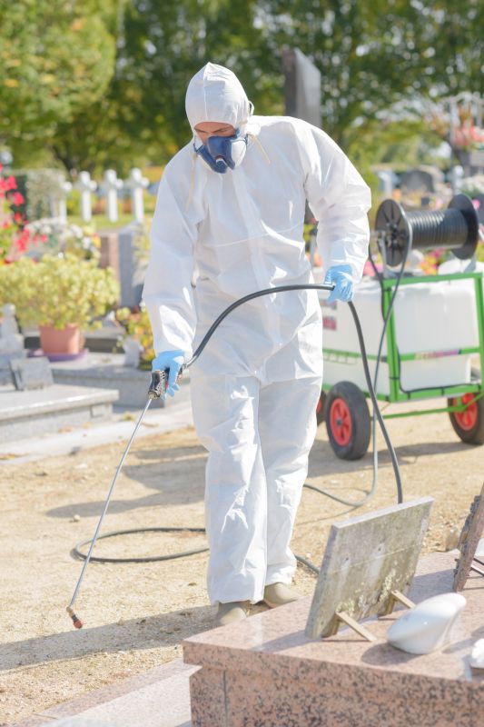Lawn Weed Control in Honolulu, HI