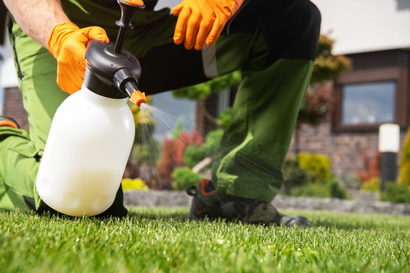 Lawn Weed Spraying in Ventura County, CA