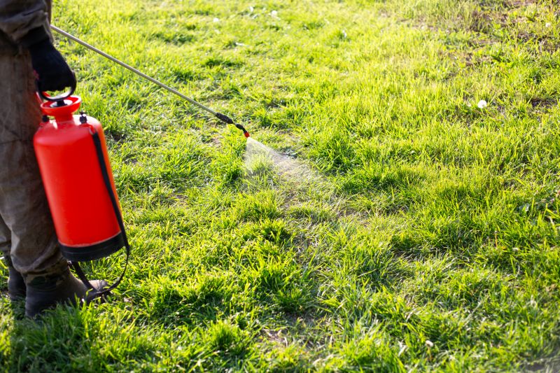 Lawn Weed Spraying in Rockwall, TX