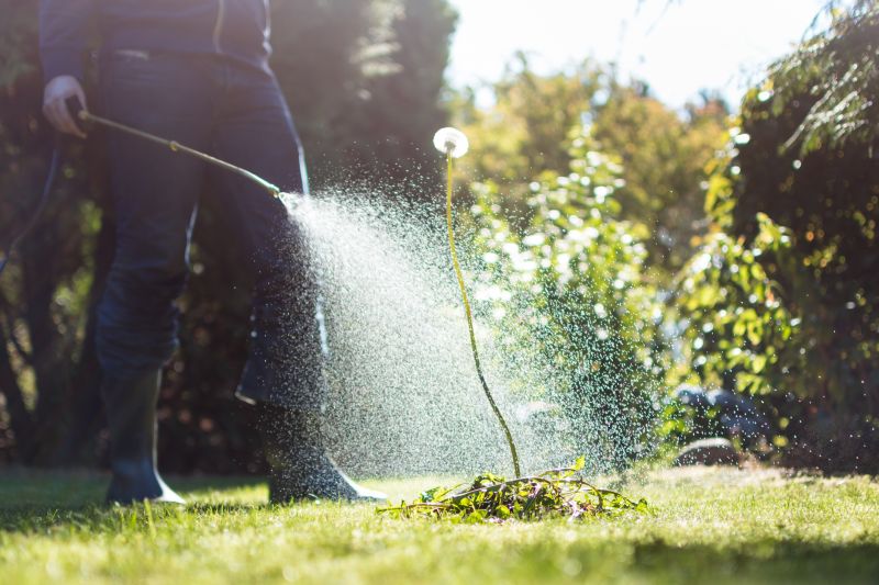 Lawn Weed Treatment in Rockwall, TX