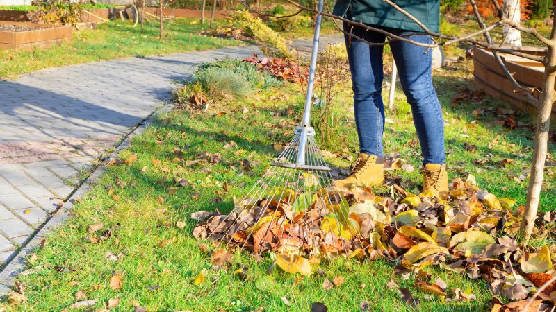Leaf Raking Service in Honolulu, HI