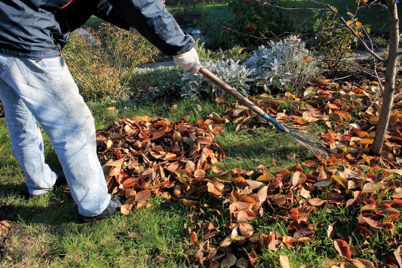 Leaf Removal in Honolulu, HI