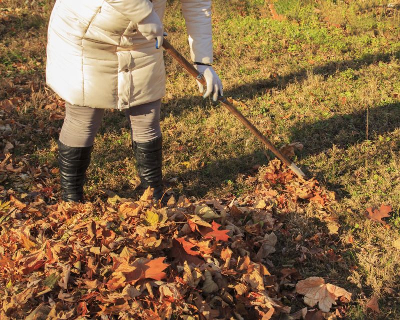 Leaves Vacuuming in Honolulu, HI