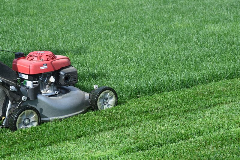 Meadow Mowing in Duluth, MN