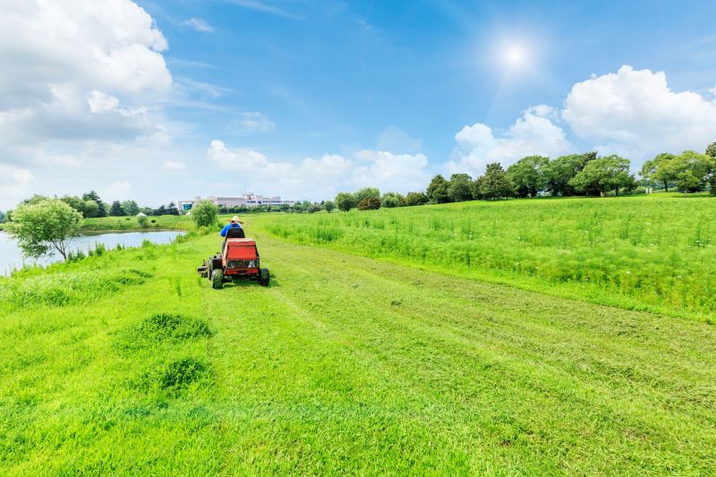 Pasture Bush Hogging in Calvert County, MD