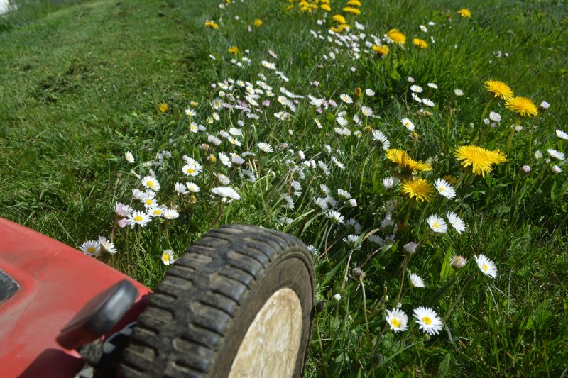 Pasture Mowing in Duluth, MN