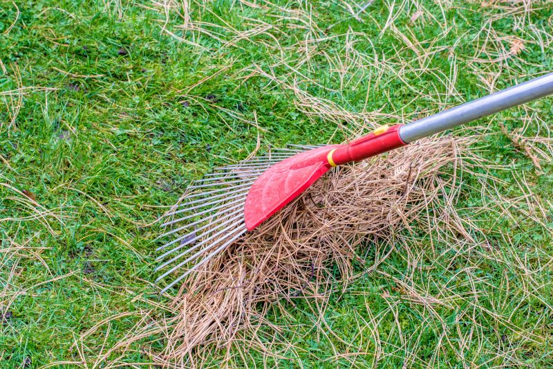 Pine Needles Removal in Ventura County, CA