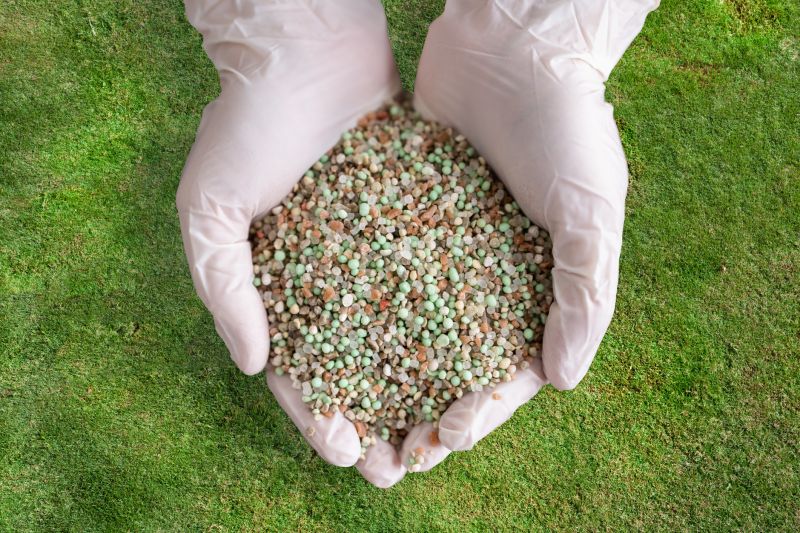 Residential Lawn Fertilizing in Honolulu, HI