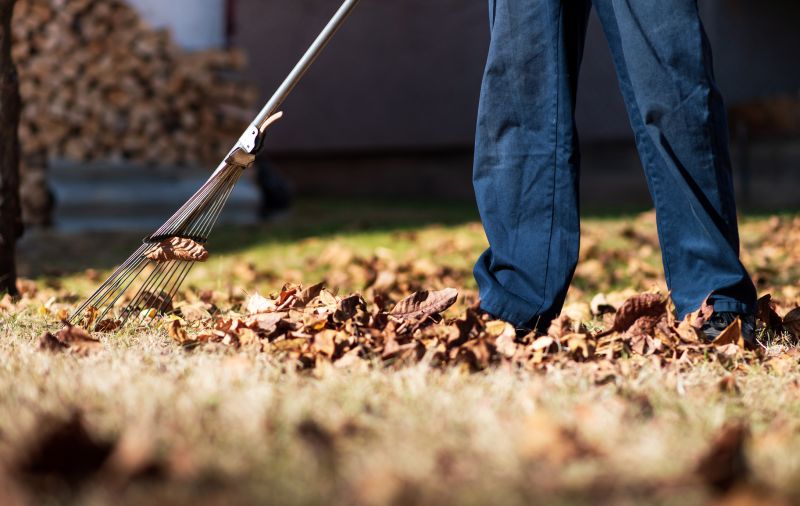 Seasonal Lawn Maintenance in Ventura County, CA
