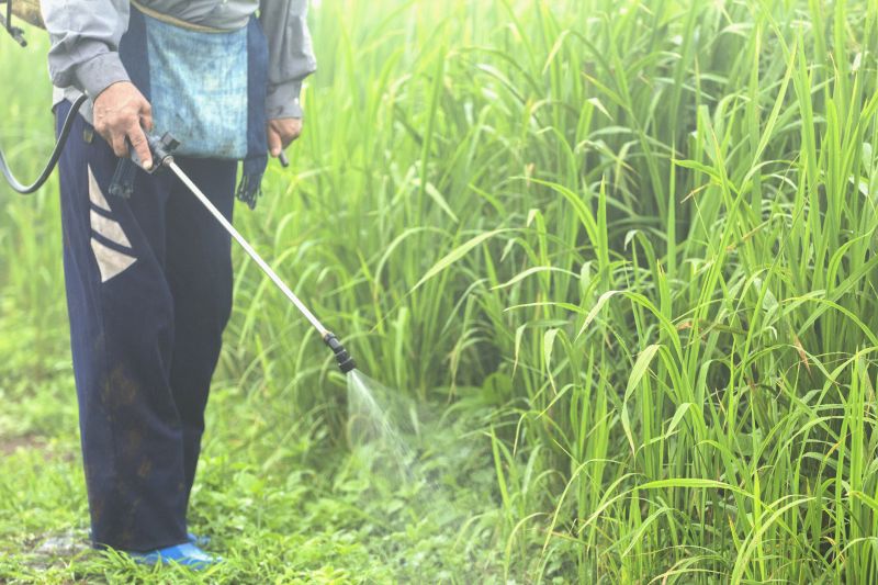 Slope Weed Control in Ventura County, CA