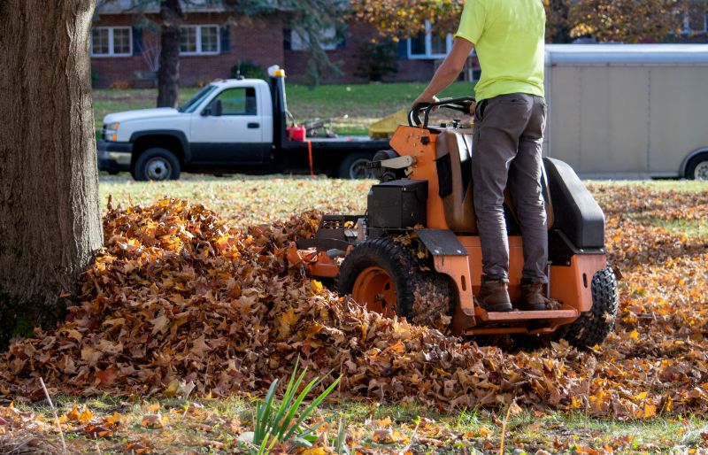 Spring Yard Clean Up Service in Honolulu, HI