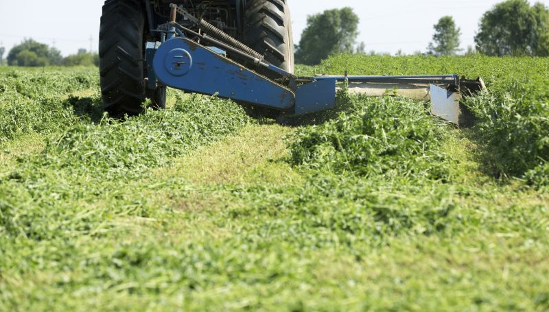 Tractor Mowing in Prince Georges County, MD