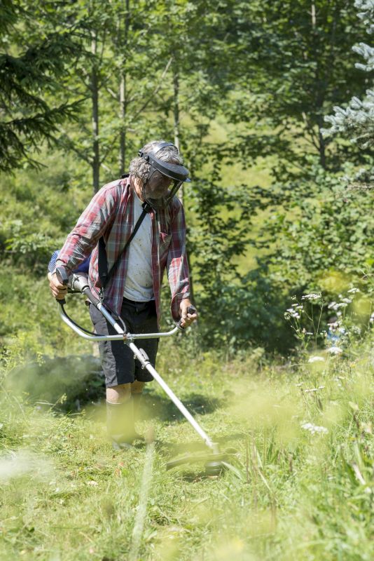 Weed Whacking in Bowie, MD