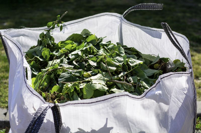 Yard Cleanup Service in Honolulu, HI