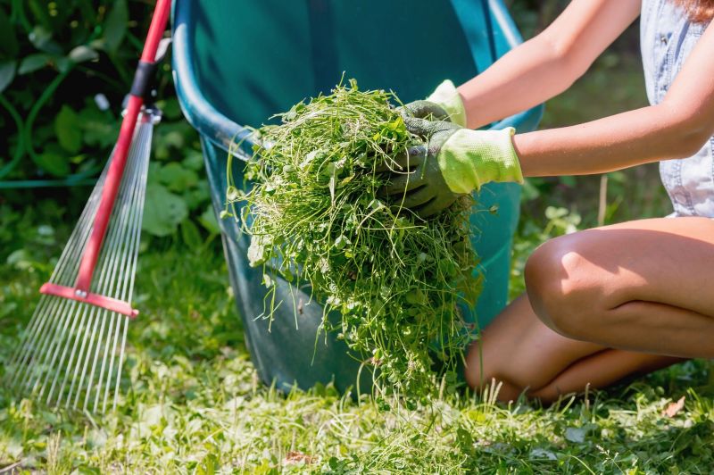 Leaf Cleanup Service in Honolulu, HI