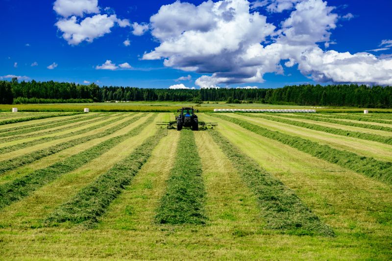Tractor Mowing in Waldorf, MD